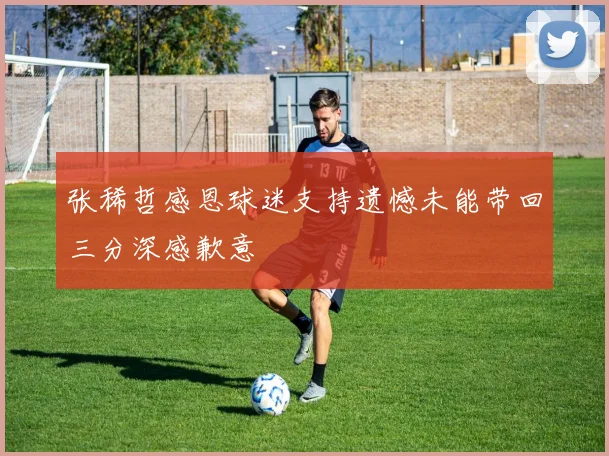 张稀哲感恩球迷支持遗憾未能带回三分深感歉意