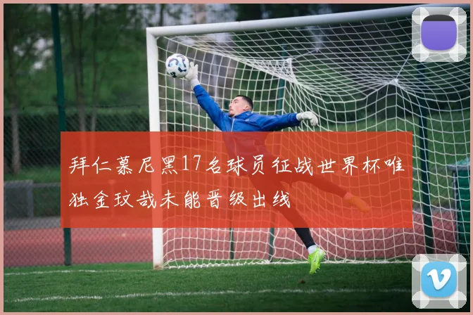 拜仁慕尼黑17名球员征战世界杯唯独金玟哉未能晋级出线